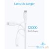 Picture of Anker PowerLine 3 (USB-C to Lightning 2.0 Cable)