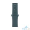 Picture of Apple Watch SE GPS + Cellular 40mm Starlight Aluminium Case with Lake Green Sport Loop