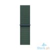 Picture of Apple Watch SE GPS 40mm Starlight Aluminium Case with Lake Green Sport Loop