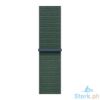 Picture of Apple Watch SE GPS 44mm Starlight Aluminium Case with Lake Green Sport Loop