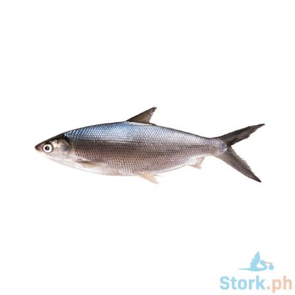 Picture of Aj Bangus Perkilo