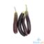 Picture of Global Fresh Eggplant Per Kilo