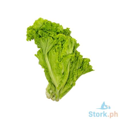 Picture of Global Fresh Lettuce Baguio