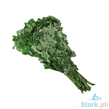Picture of Global Fresh Malunggay Per Kilo