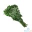 Picture of Global Fresh Malunggay Per Kilo