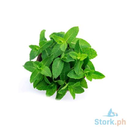 Picture of Global Fresh Mint Leaves Per Kilo