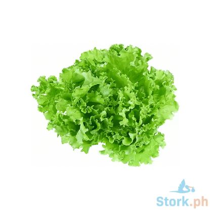Picture of Global Fresh Romaine Lettuce