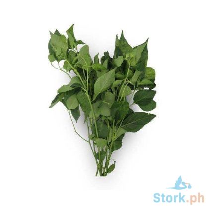 Picture of Global Fresh Sili Leaves
