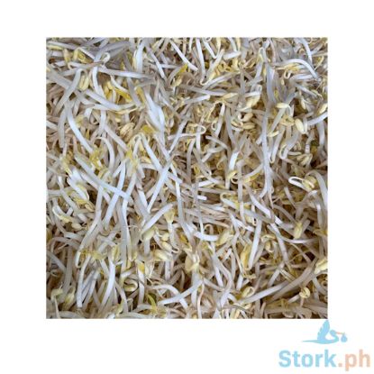 Picture of Global Fresh Togue Long