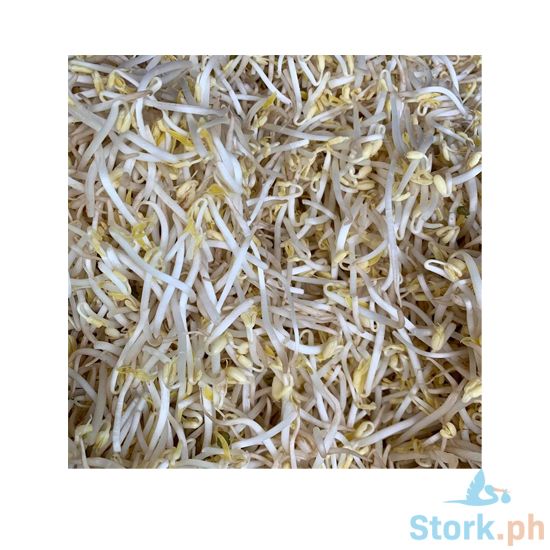 Picture of Global Fresh Togue Long
