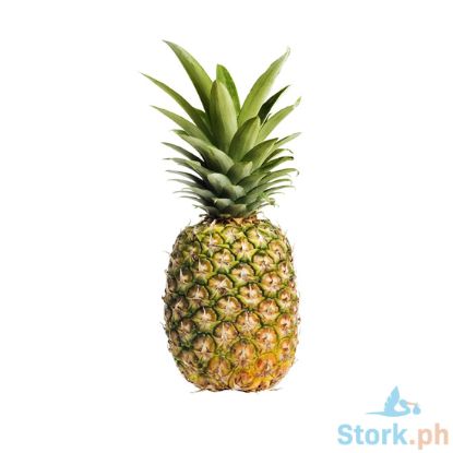 Picture of Jed Mktg Pineapple