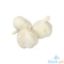 Picture of Global Fresh Garlic Taiwan Perkilo
