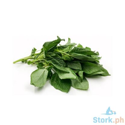 Picture of Millenium Saluyot  Per Piece
