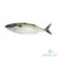Picture of Aj Alumahan Per Kilo