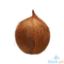 Picture of Global Fresh Niyog