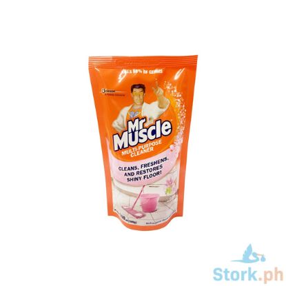 Picture of Mr Muscle Allpurpose Cleaner Floral 300Ml