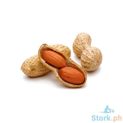 Picture of Global Fresh Peanut Jumbo Perkg