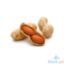 Picture of Global Fresh Peanut Jumbo Perkg