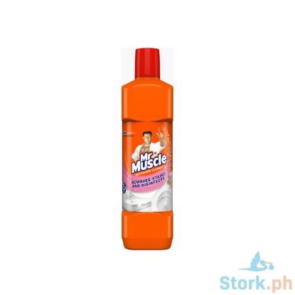 Picture of Mr Muscle Bathroom Cleaner Floral 450Ml