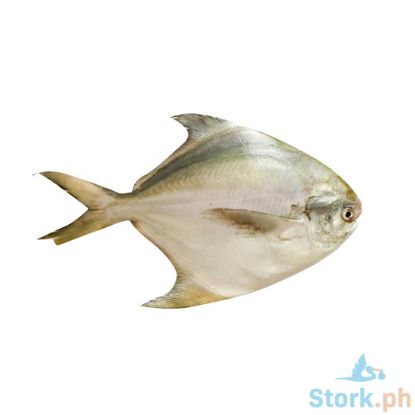 Picture of Pampano Per Kilo