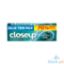 Picture of Close Up Soothing Menthol 191g