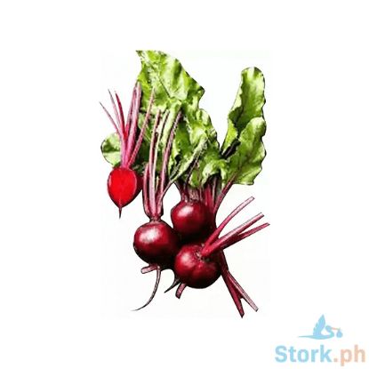 Picture of Global Fresh Sugar Beets