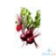 Picture of Global Fresh Sugar Beets