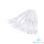 Picture of Magic Lion Plastic Fork 12s