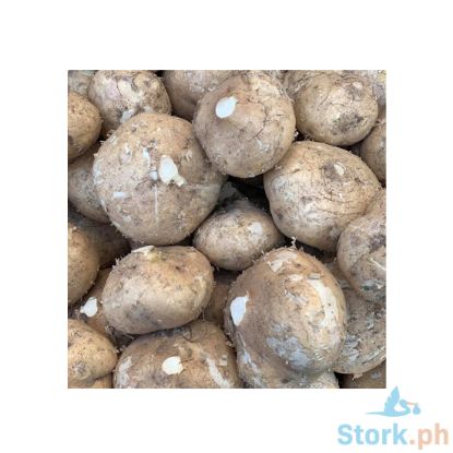 Picture of Millenium Sinkamas Per Kilo