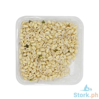 Picture of Global Fresh Togue Short Per Kg