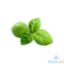 Picture of Millenium Basil Leaves Per Kilo