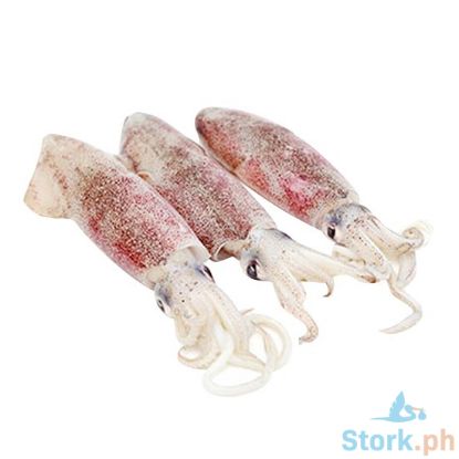 Picture of Aj Pusit Perkilo