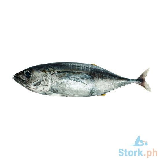 Picture of Aj Yellow Fin Perkilo