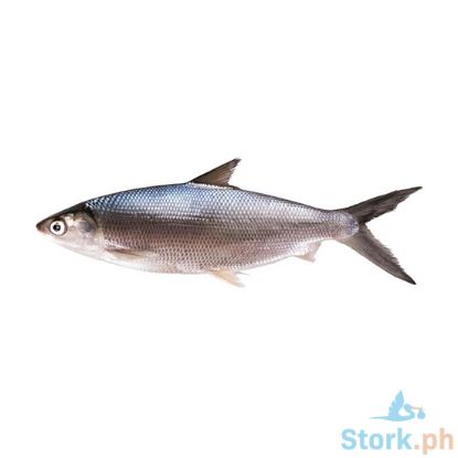 Picture of AJ Bangus Dagupan Medium Per Kilo