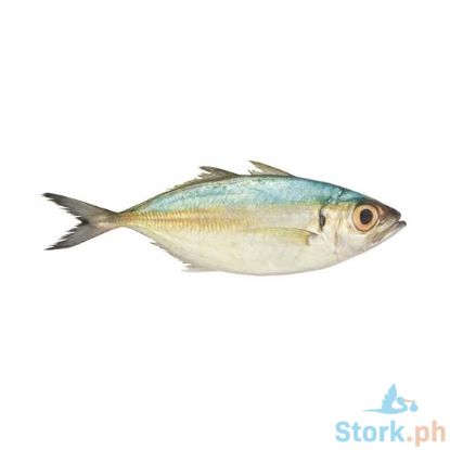 Picture of AJ Galunggong Per Kilo