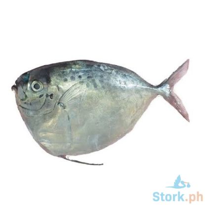 Picture of AJ Hiwas Per Kilo