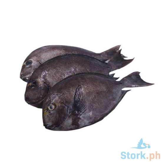 Picture of AJ Labahita Per Kilo