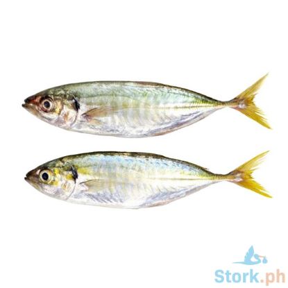 Picture of AJ Salay Ginto Per Kilo