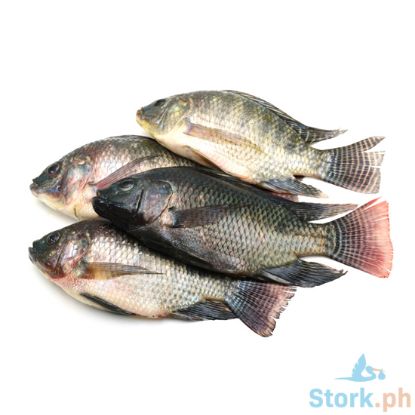 Picture of AJ Tilapia Per Kilo