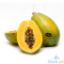 Picture of Dizon Solo Papaya Per Kilo