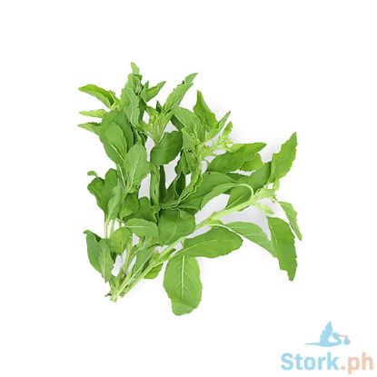 Picture of Global Fresh Basil Per Kilo