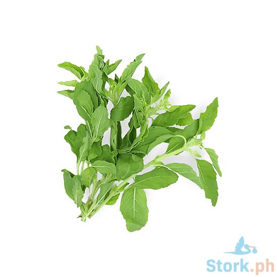 Picture of Global Fresh Basil Per Kilo