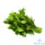Picture of Global Fresh Camote Tops