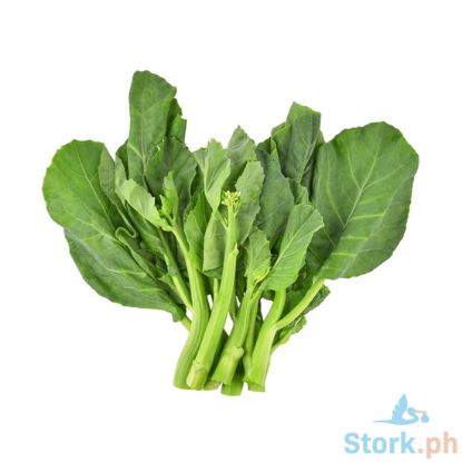 Picture of Global Fresh Chinese Broccoli