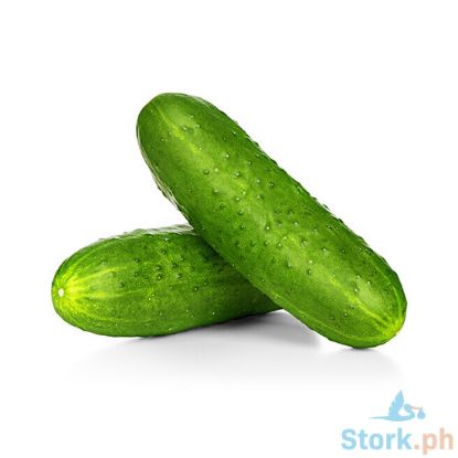 Picture of Global Fresh Cucumber Bukidnon Per Kilo