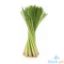 Picture of Global Fresh Lemon Grass