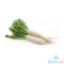 Picture of Global Fresh Raddish White Per Kilo