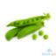 Picture of Global Fresh Sweet Peas
