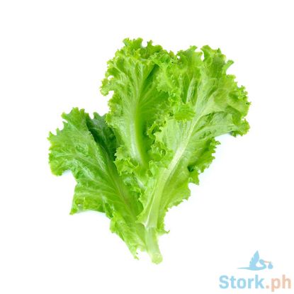 Picture of Millenium Green Ice Lettuce Per Kilo