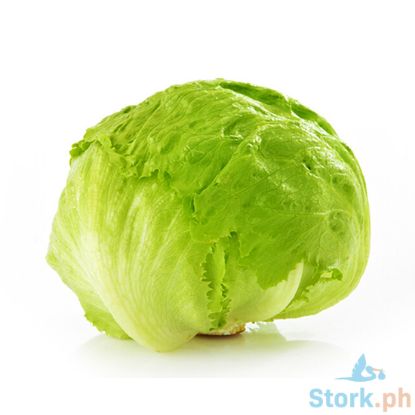 Picture of Millenium Lettuce Baguio Per Kilo